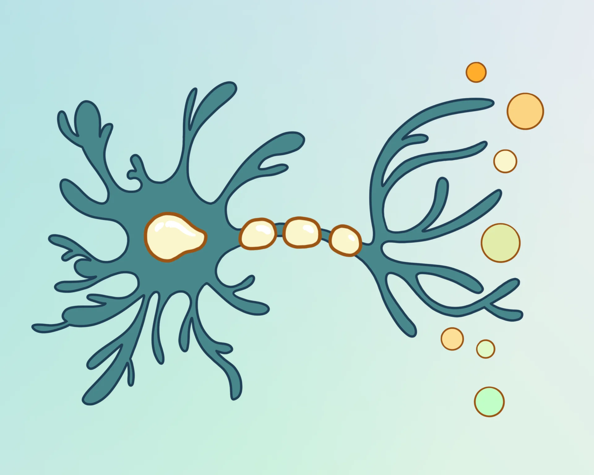 Aai corse Cover25 Einfuehrung KI Campus v1 sg