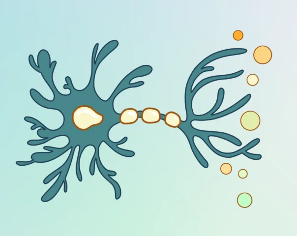 Aai corse Cover25 Einfuehrung KI Campus v1 sg