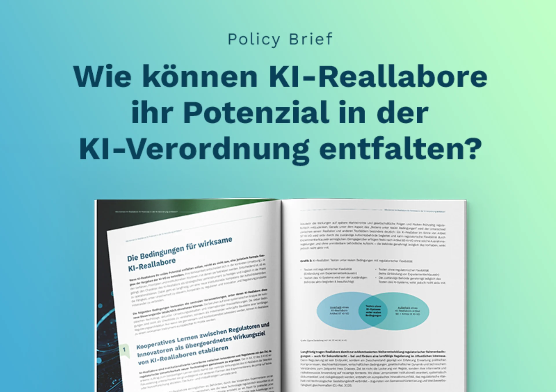 Cover Policy Brief Regulatory Sandbox